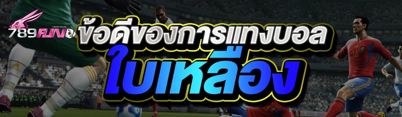ข้อดีของการแทงบอลใบเหลือง